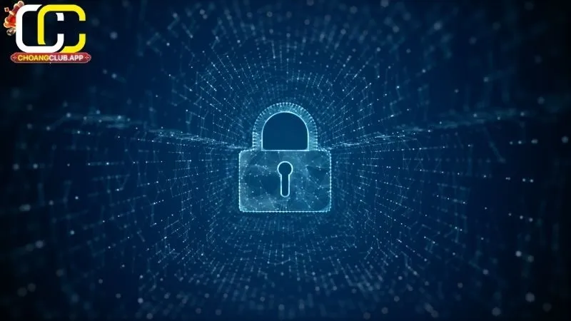 Chính sách Thu thập Thông tin