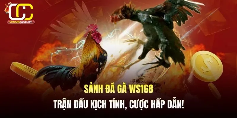 Giới Thiệu Về Ws168 Đá Gà Trên Choangclub